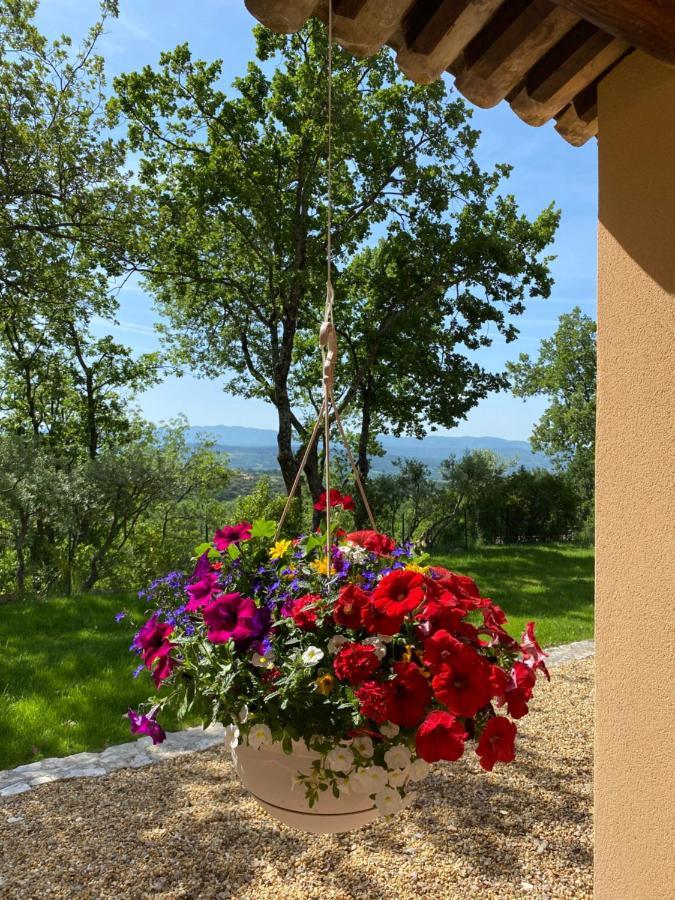 Chante Coucou Saint-Saturnin-lès-Apt Exterior photo